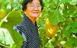 娱乐吃瓜酱老人养凤凰,揭秘娱乐界老人与神秘凤凰的传奇故事