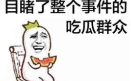 娱乐吃瓜酱中医象数,揭秘娱乐吃瓜酱背后的养生智慧