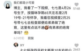 娱乐吃瓜的博主是谁啊视频,揭秘热门视频背后的神秘人物