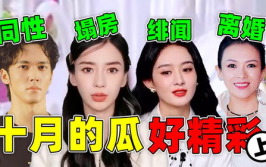 吃瓜娱乐粤语大赏视频,吃瓜娱乐粤语大赏精彩回顾