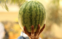 娱乐圈可以吃的大瓜