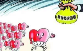 精神损害赔偿,法律视角下的心灵慰藉之道