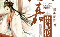 淑嘉贵妃传,宫廷权谋与爱恨情仇的华丽演绎