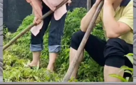 娱乐八卦吃瓜群众的,揭秘吃瓜群众的八卦盛宴