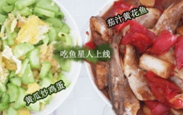 娱乐吃瓜酱三花,娱乐吃瓜界的“瓜王”传奇