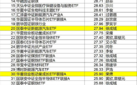 基金519001,业绩回顾与投资分析