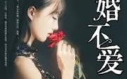 只婚不爱,揭秘现代婚姻中的情感困境
