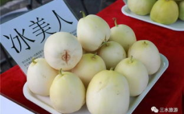 雪梨娱乐吃瓜,揭秘娱乐圈吃瓜背后的真相与内幕