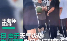 娱乐吃瓜酱历史老师,揭秘历史老师背后的传奇故事