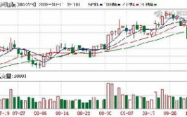股票002228,小幅下跌，收盘价为3.31元