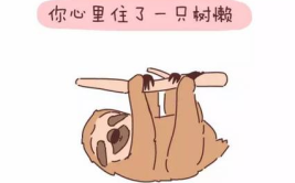 手忙脚乱是什么生肖,揭秘十二生肖中的慌乱代表